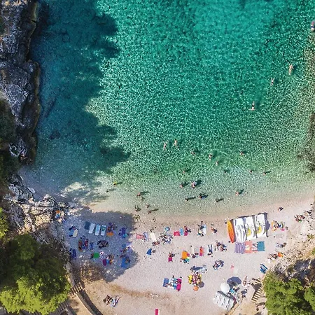 Awesome In With Wifi Appartement *